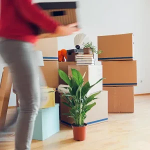 Read more about the article Streamlined Strategies: How to Pack Up a House to Move Efficiently and Stress-Free