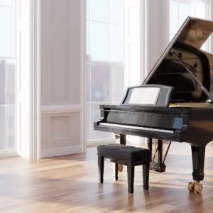Read more about the article How to Safely Move a Piano with Professional Movers